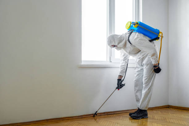 Reliable Marion, MT Pest Control Solutions