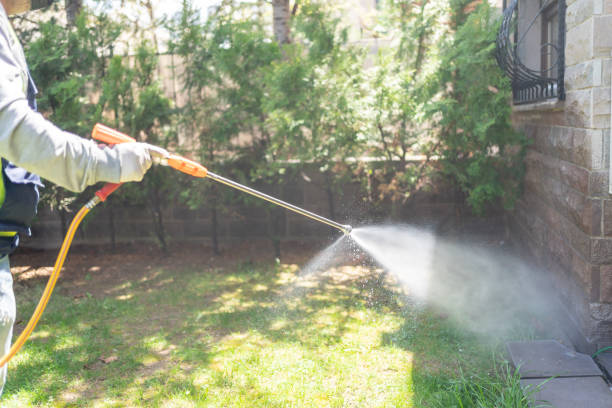 Best Pest Removal Services  in Marion, MT